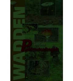 Wadden Paddenstoelengids