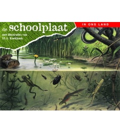De schoolplaat In ons land