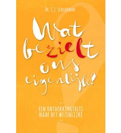 Wat bezielt ons eigenlijk?