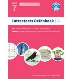 3 Gemengde opgaven voor groep 7