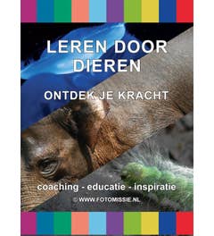 Leren door dieren