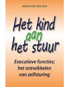 Het kind aan het stuur