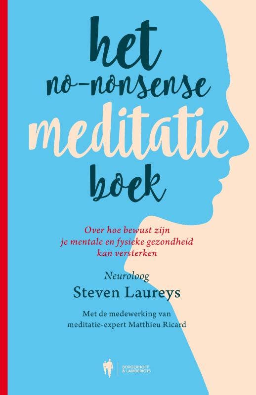 Het No-nonsense meditatieboek