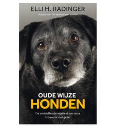 Oude wijze honden