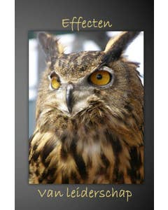 Effecten van leiderschap