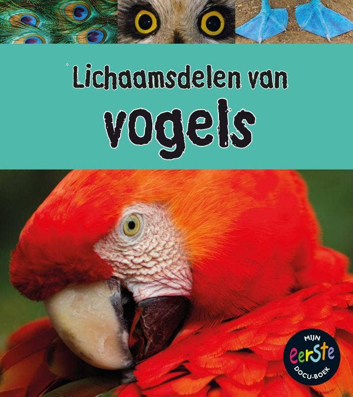 Onder de loep - Lichaamsdelen van vogels