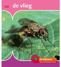 De Kijkdoos - De vlieg