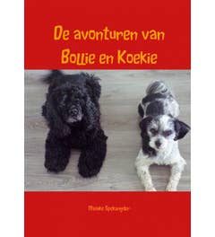 De avonturen van Bollie en Koekie