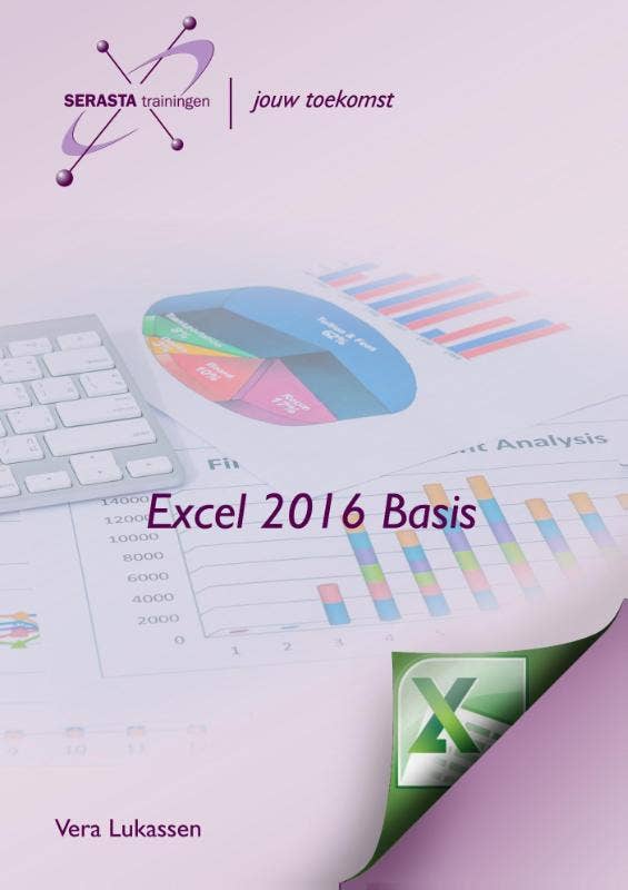 Excel 2016 basis