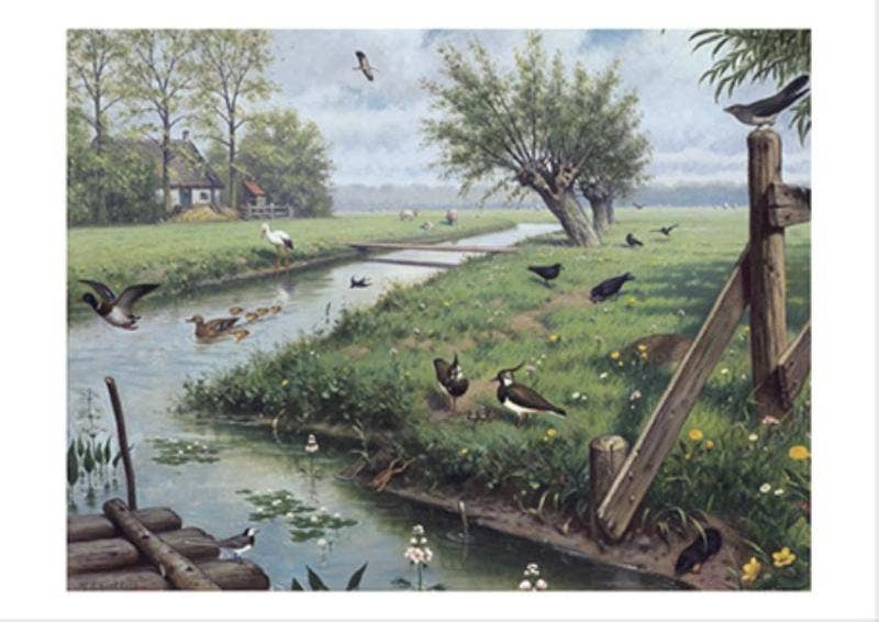 Schoolplaat - In de weide