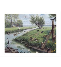 Schoolplaat - In de weide