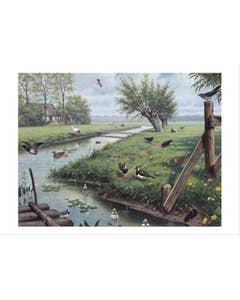 Schoolplaat - In de weide