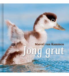 Jong grut