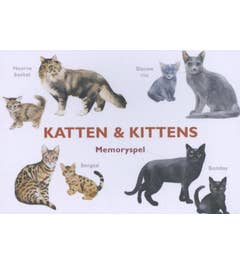 Katten & Kittens