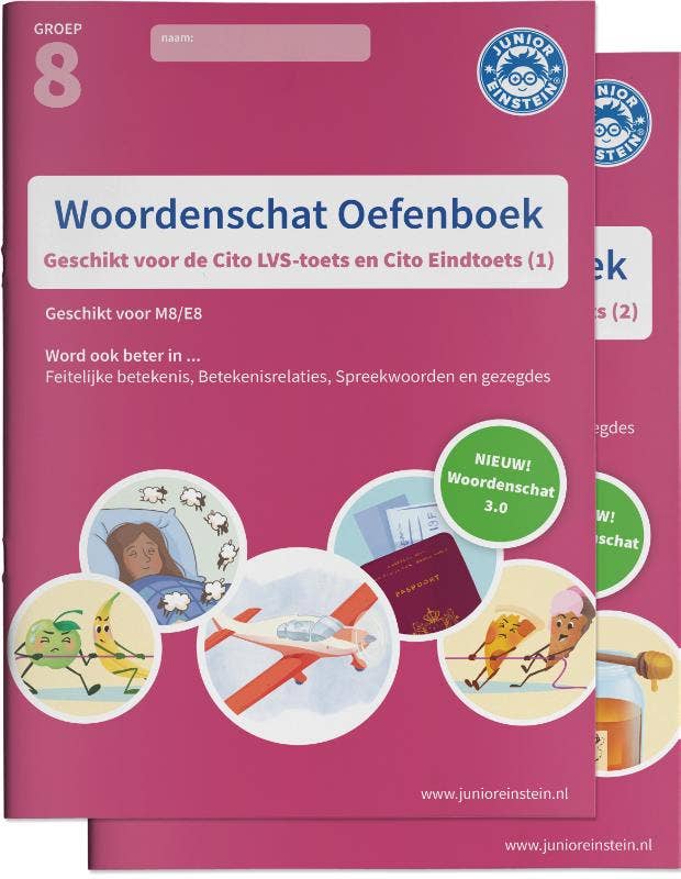 Woordenschat Oefenboeken - Deel 1 en 2 - Groep 8
