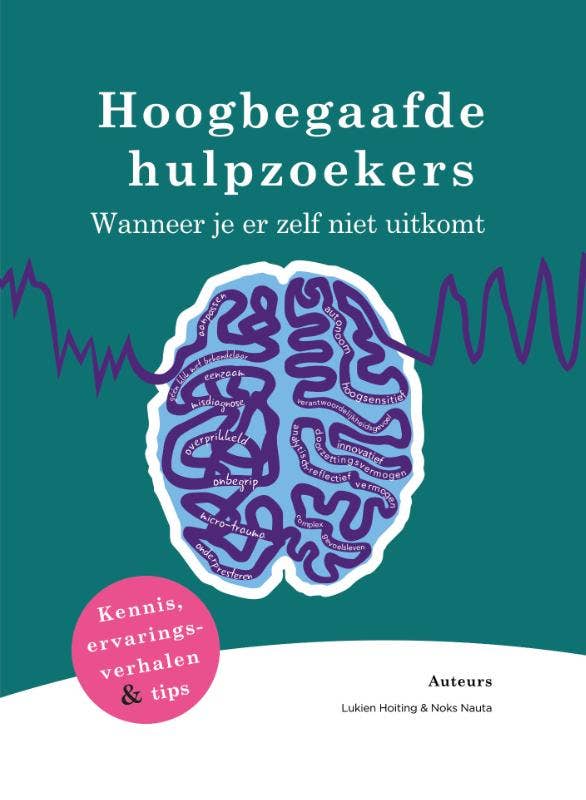 Hoogbegaafde hulpzoekers