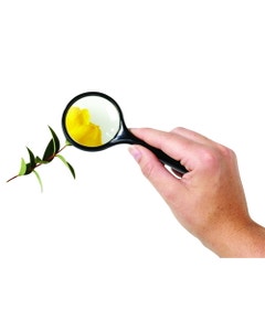 Vergrootglas met handvat