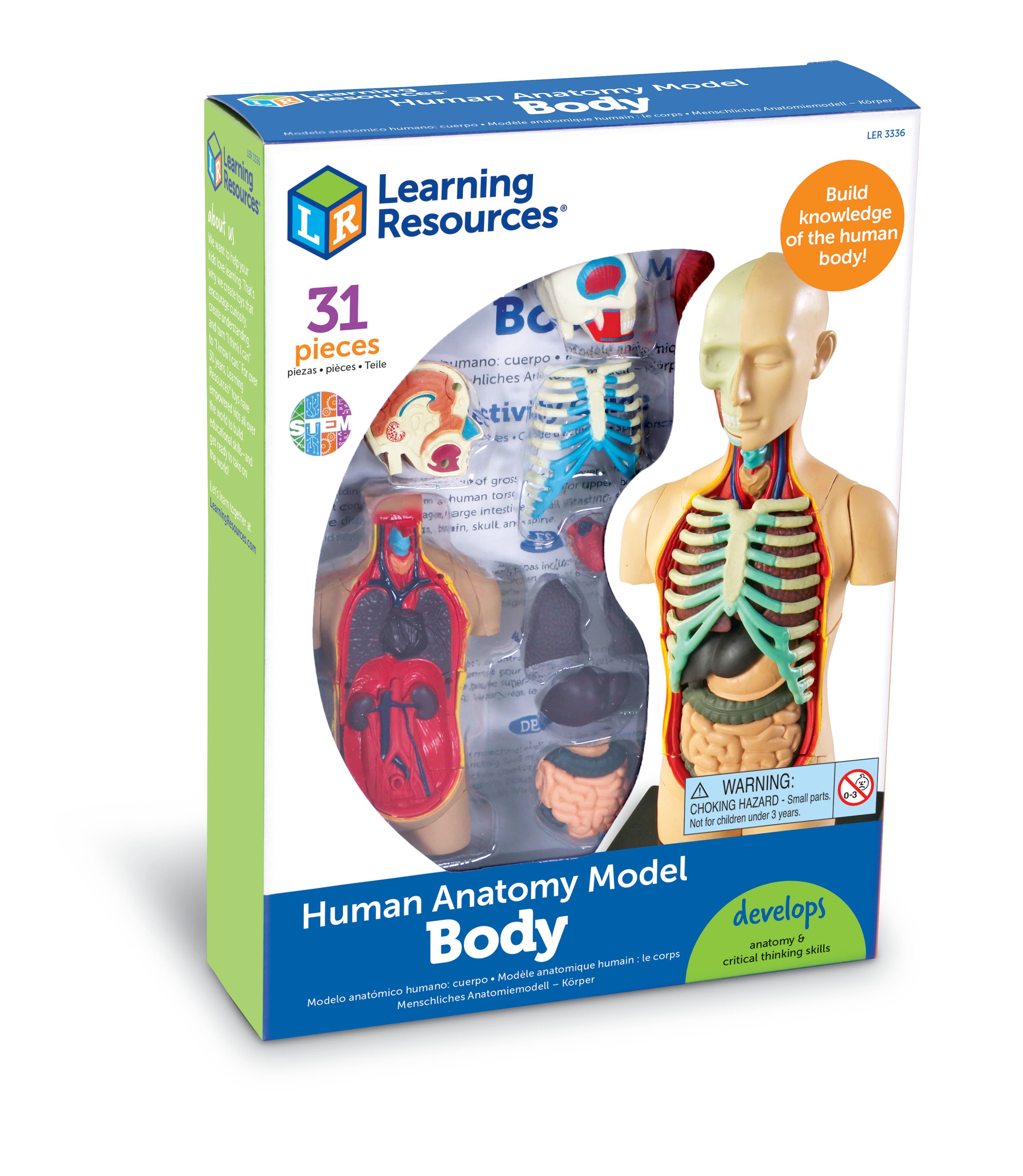 Anatomisch model | Lichaam