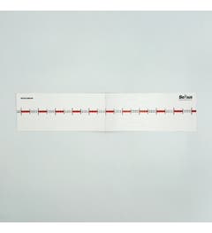 Getallenlijnen (5 stuks)