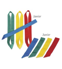 Team lint (div. uitvoeringen)