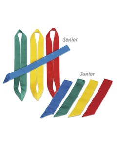 Team lint (div. uitvoeringen)