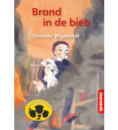 Boemerang: De groep van Joep - Brand in de bieb