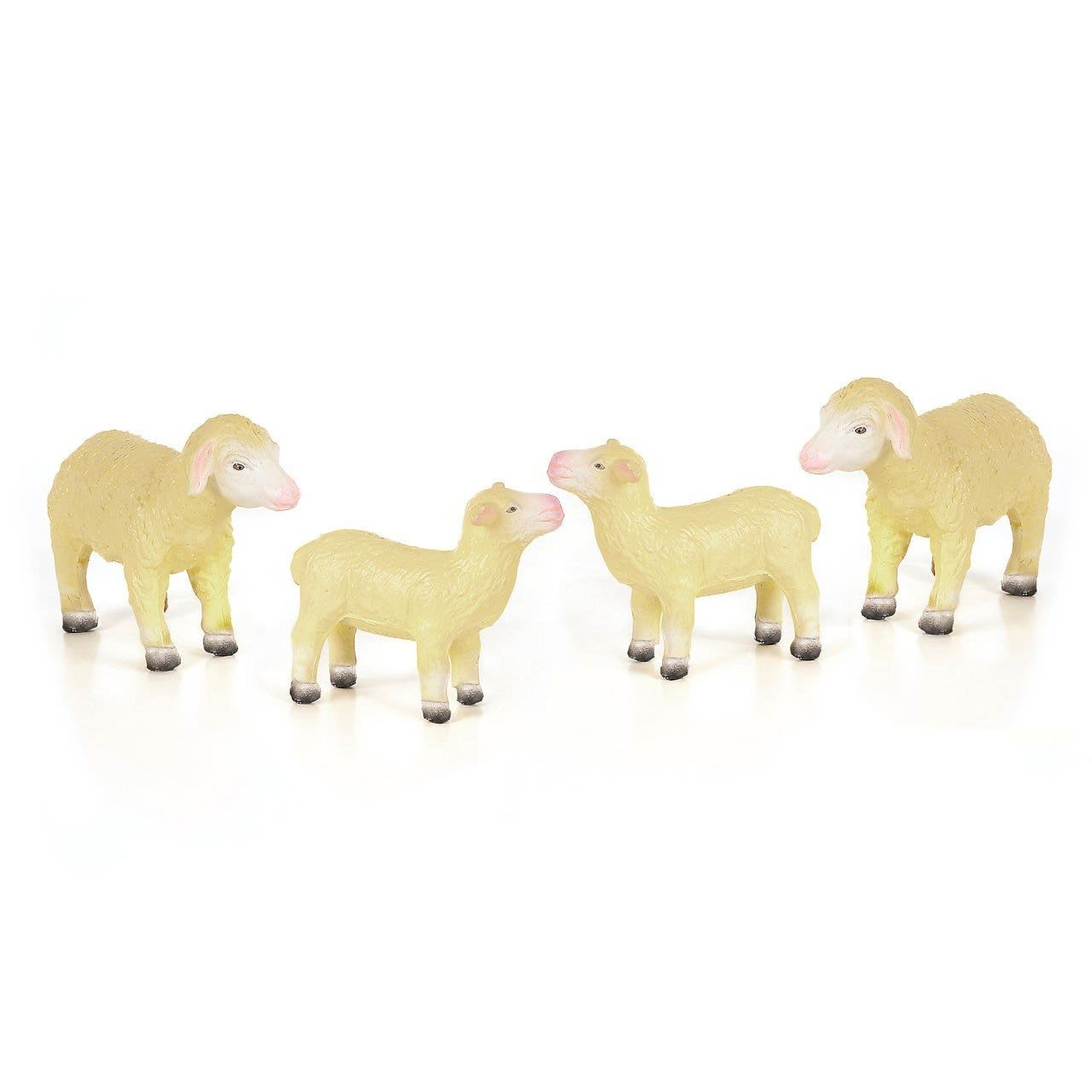 Boerderijdieren | Schapen | 4-delig