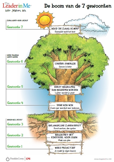 Poster Boom van de 7 gewoonten