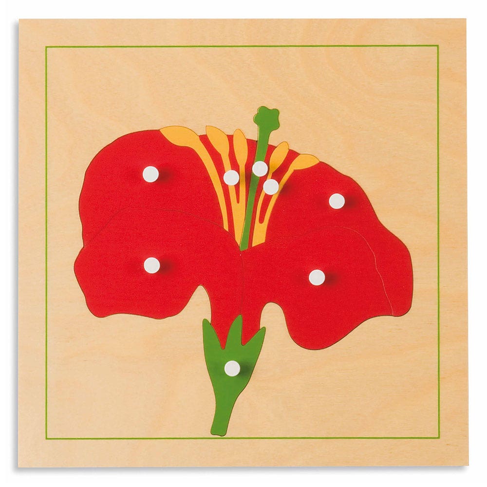 Botaniepuzzel: bloem