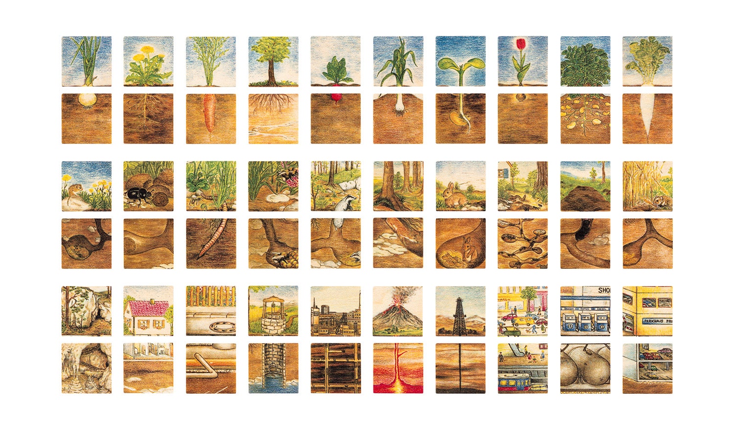 Boven en onder de grond | Educatief spel