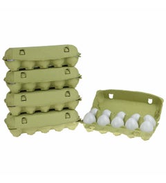 Eierdoos met 10 rekeneieren