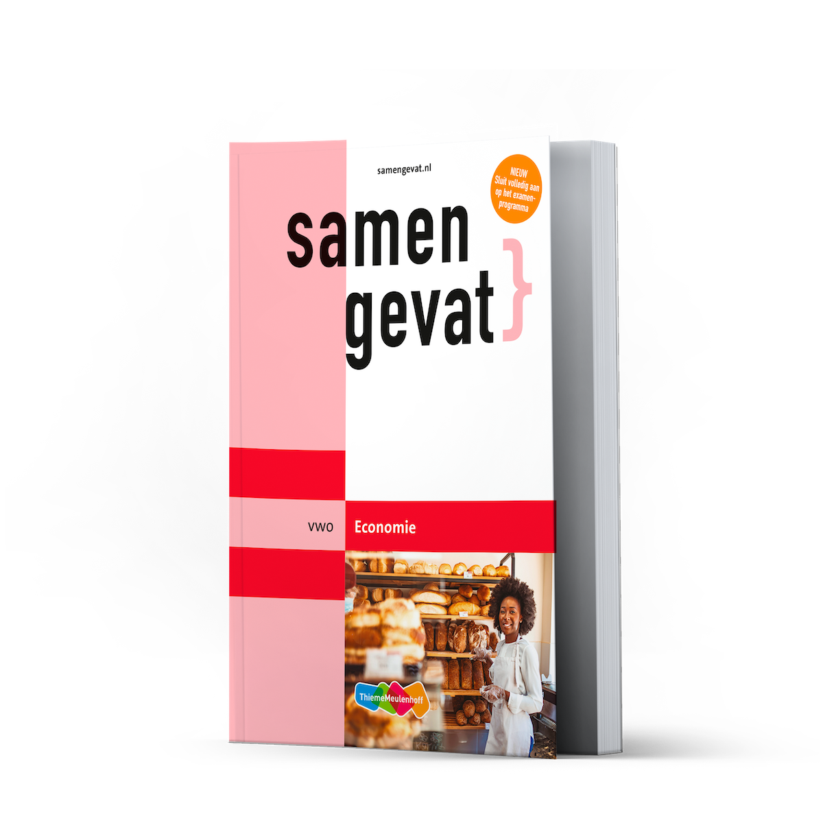 Samengevat vwo Economie