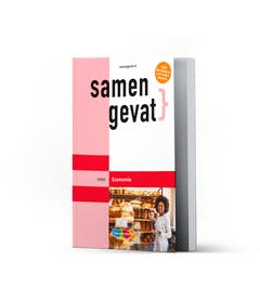 Samengevat vwo Economie