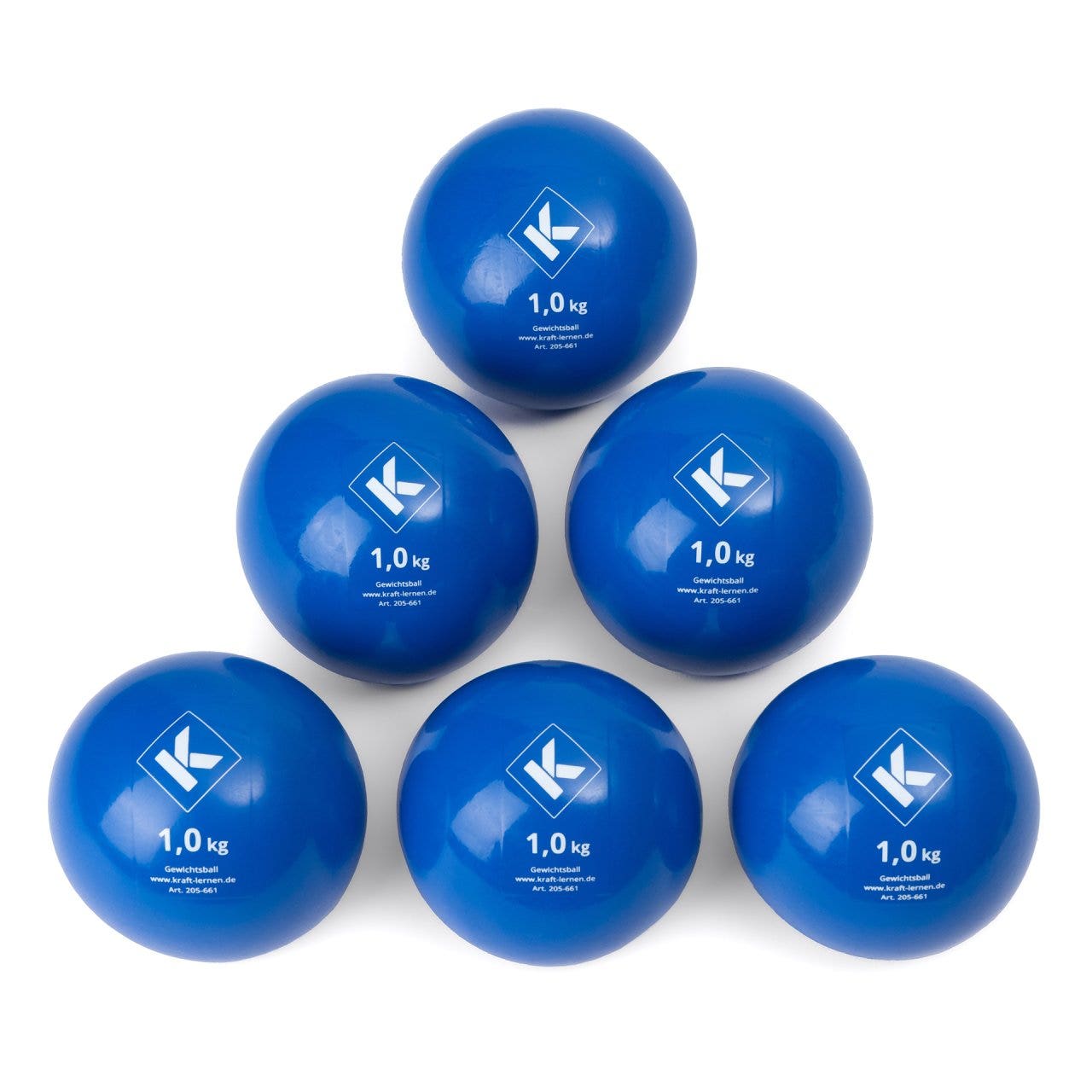 Gewichtsbal | 1 kg | Blauw (6 st.)