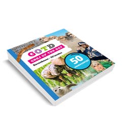 Grej of the day - Wandkaartjes 50 landen