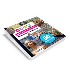 Grej of the day - Wandkaartjes Geschiedenis van Nederland