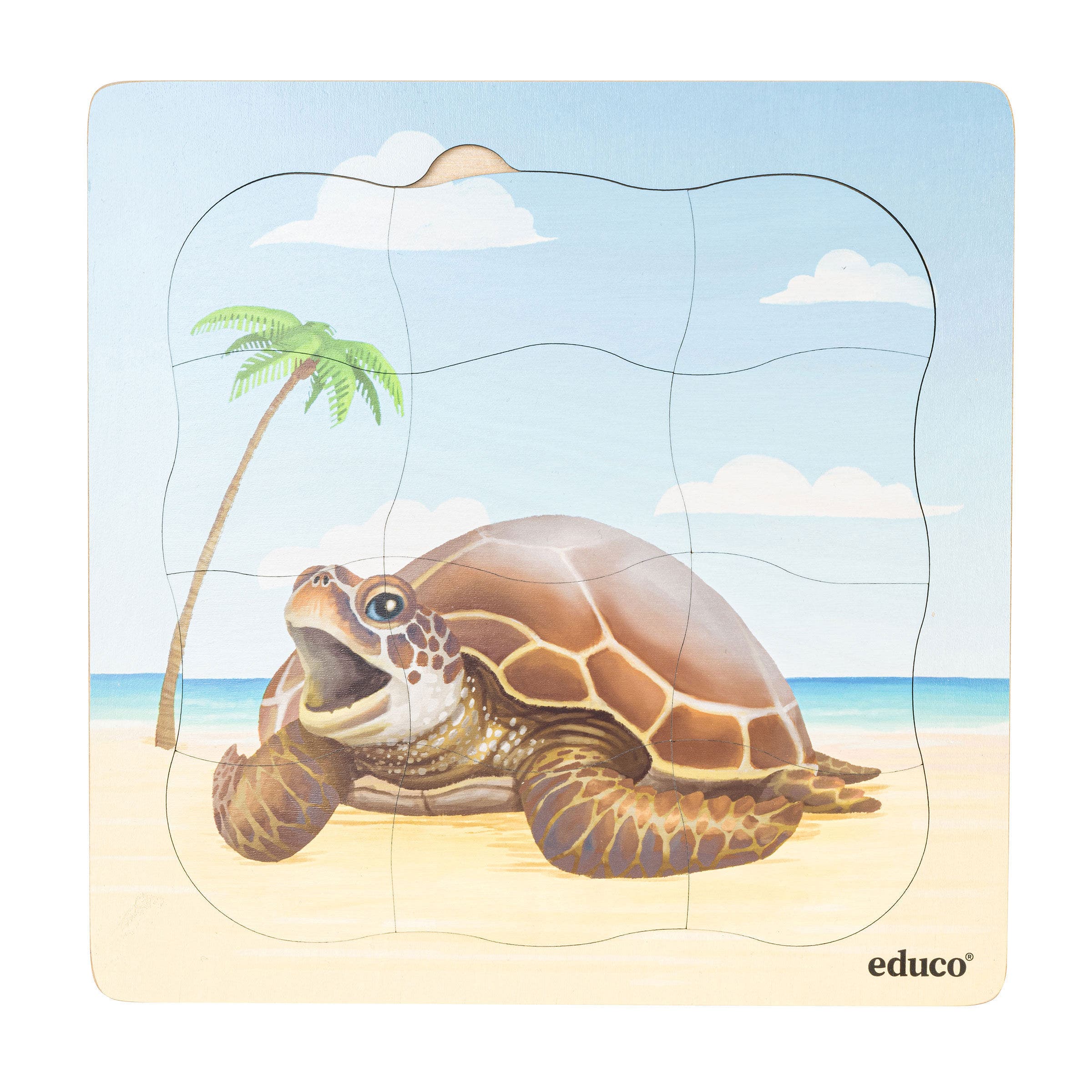 Groeipuzzel | Zeeschildpad - Strand | Educo