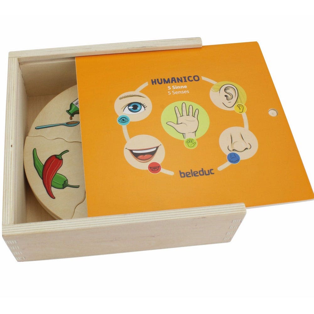 Houten puzzels | Zintuigen | 5 stuks