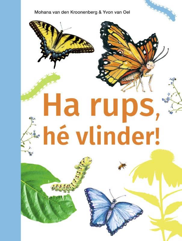 Ik lees informatief | Ha rups, hé vlinder! | AVI M4