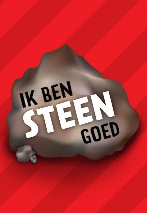 Ik ben STEENgoed - kwartetspel
