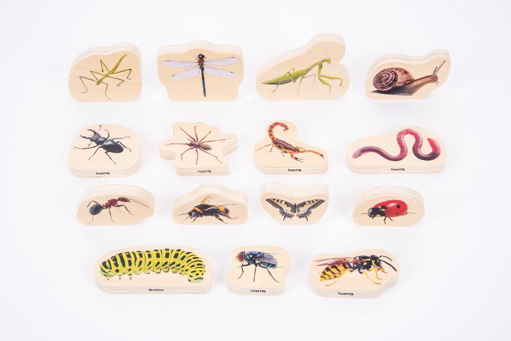 Insecten - Houten Blokken