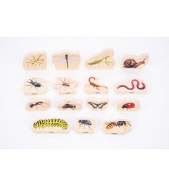 Insecten - Houten Blokken