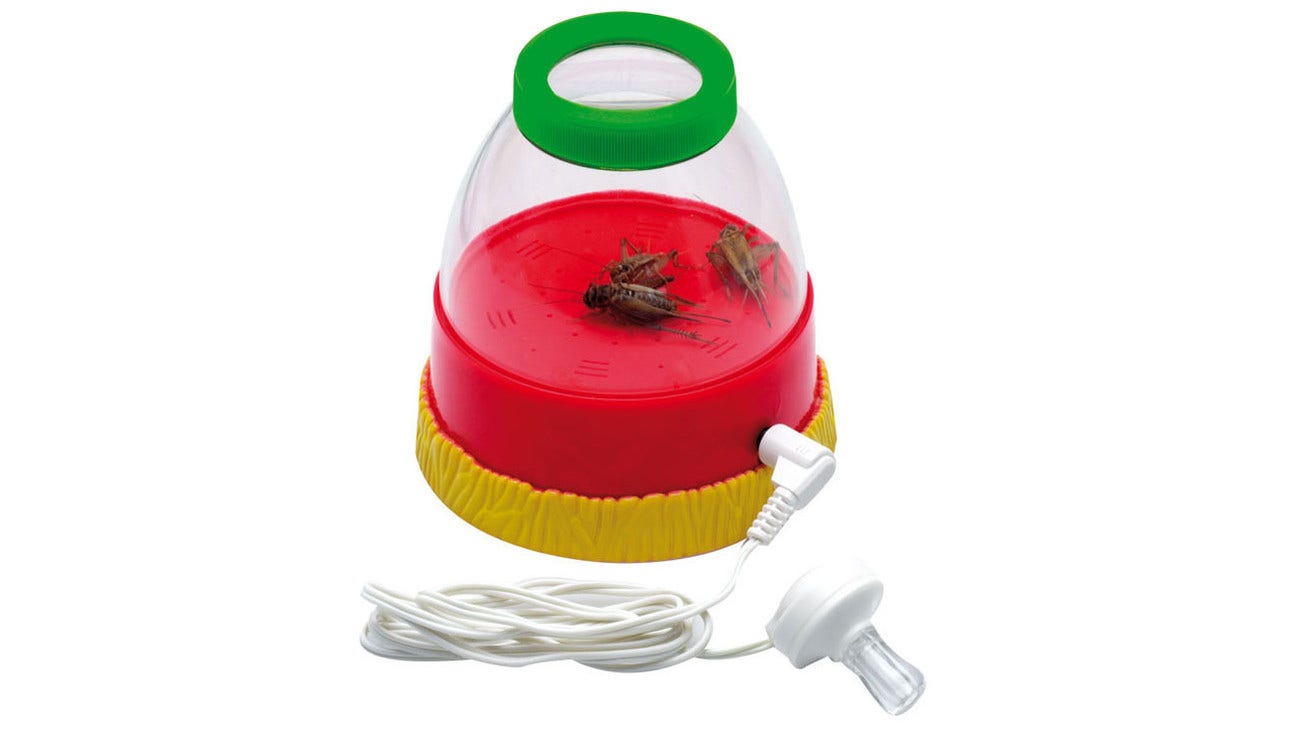 Insecten Luisterbox