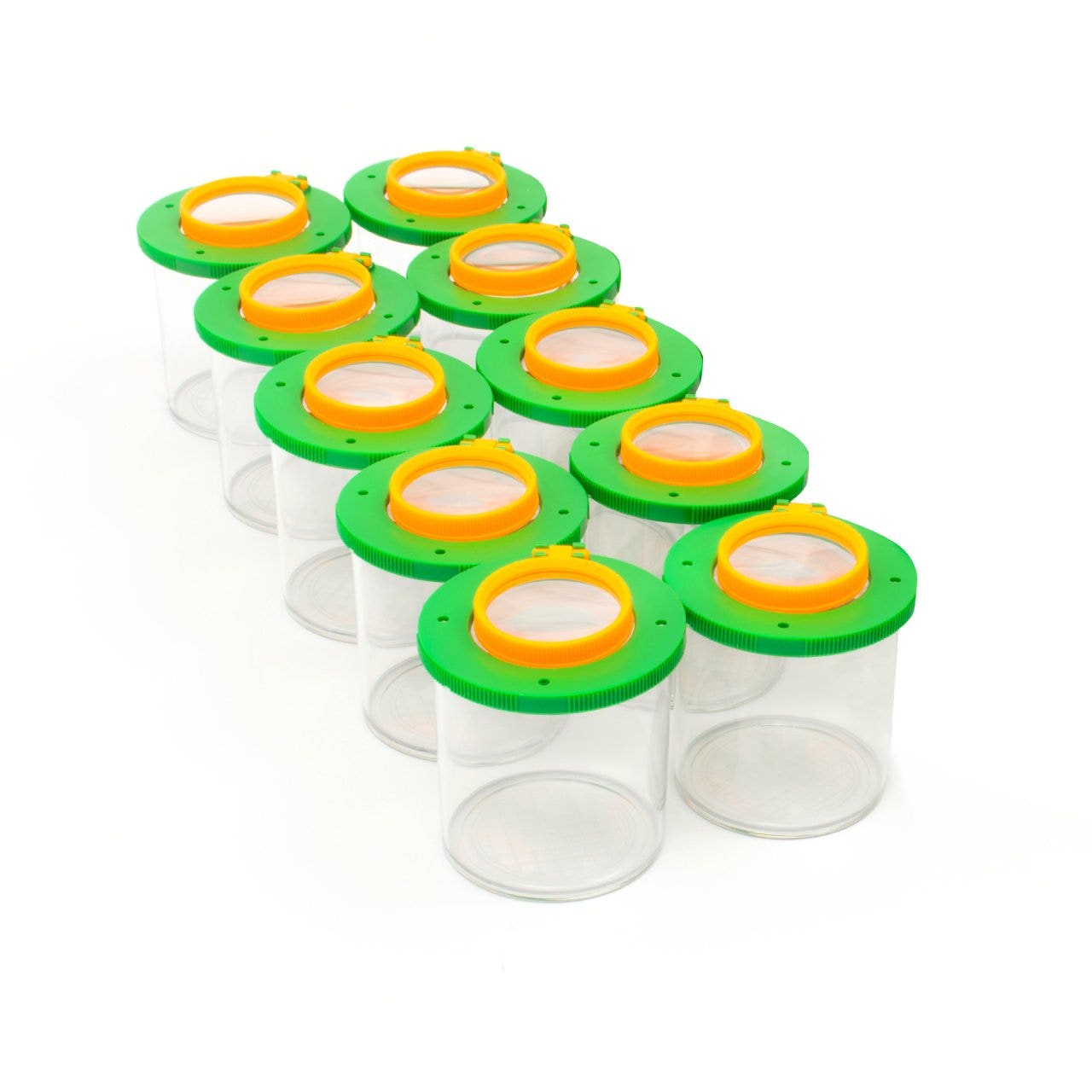 Insectenpotje met vergrootglas (10 st.)