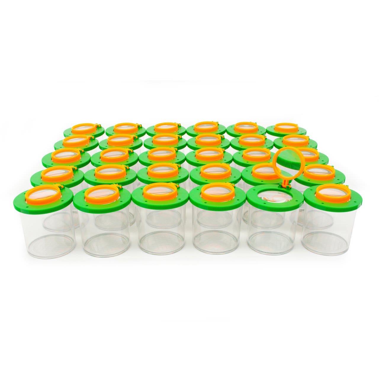 Insectenpotje met vergrootglas (30 st.)