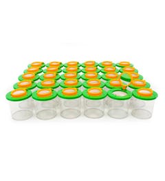 Insectenpotje met vergrootglas (30 st.)