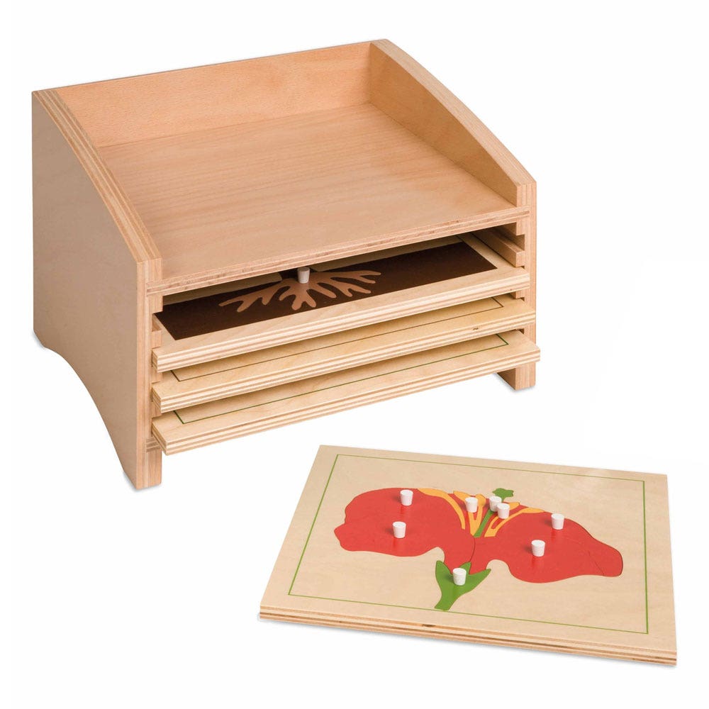 Kastje voor botaniepuzzels