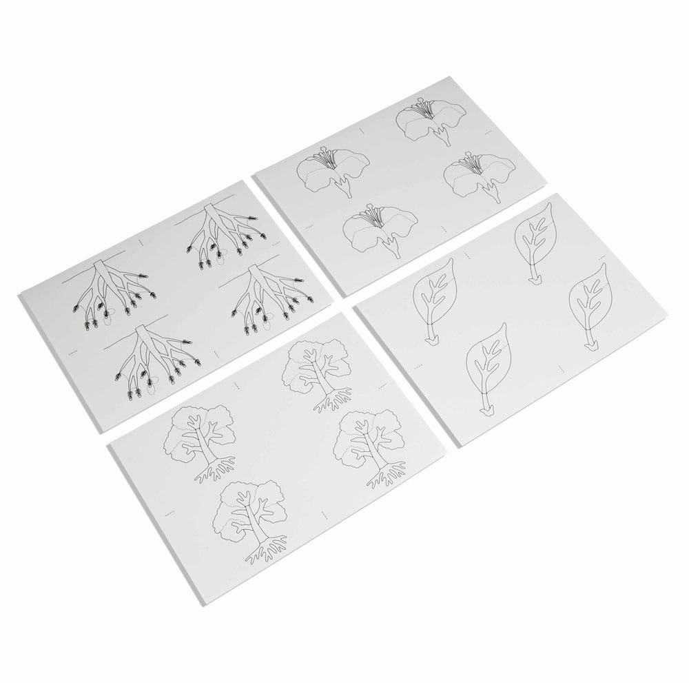 Kopieerkaarten voor botaniepuzzels