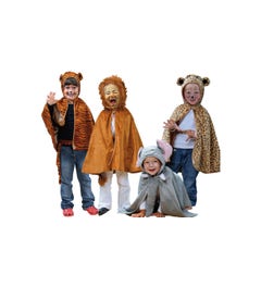 Kostuums (set van 4: leeuw, tijger, luipaard, olifant)