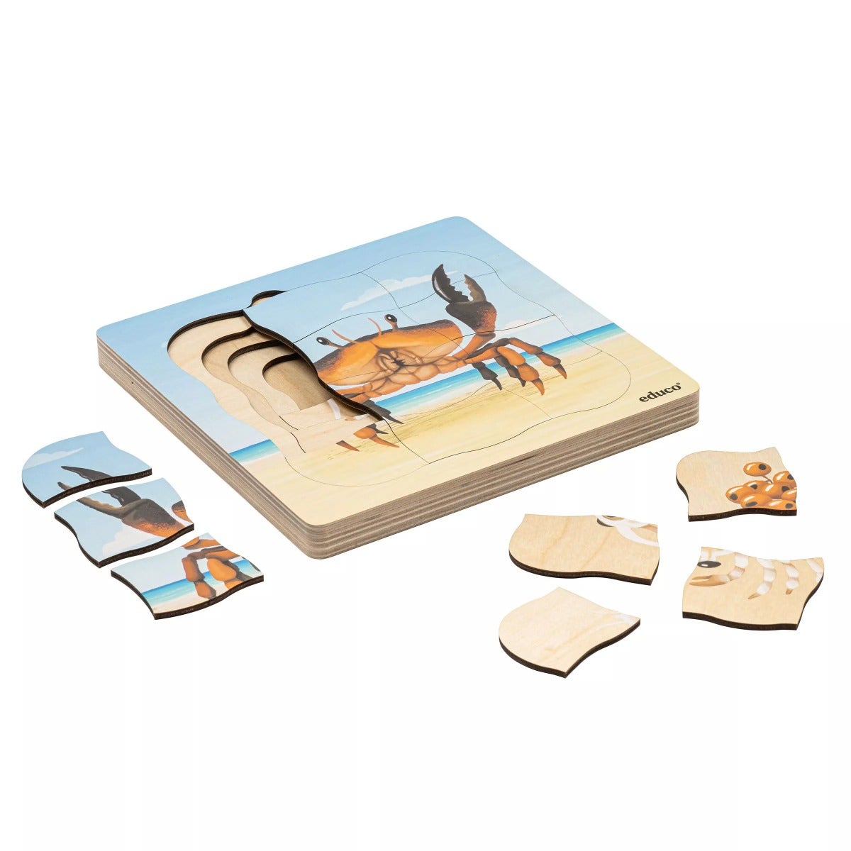 Lagenpuzzel | 31 stukjes | Op het strand | Groei krab